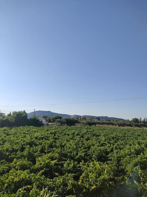 Villa Casa Dei Fiori Sarakinádhon Esterno foto